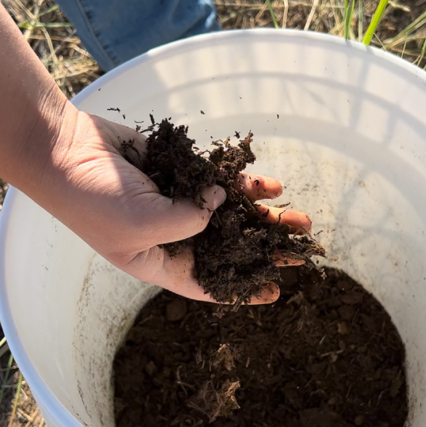 CottaCompost: Olla Watering Kit for Your Compost Bin or Pile