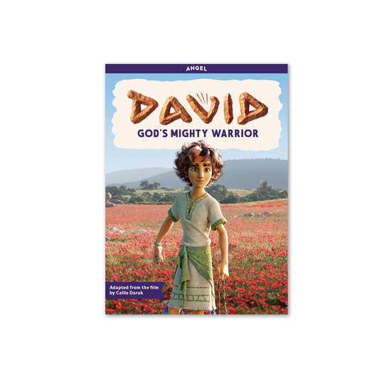 David: God’s Mighty Warrior Children’s Book - PREORDER - Books