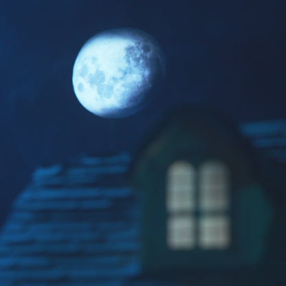 Wingfeather Collectible Figurines - Tink