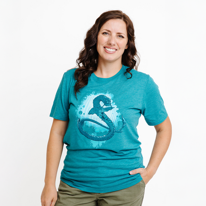 Wingfeather Janner & the Sea Dragon T-Shirt - T-Shirts